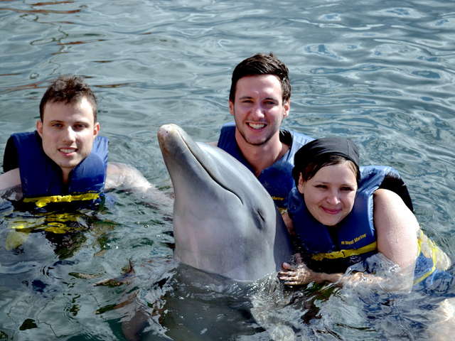 Show y baño con delfines